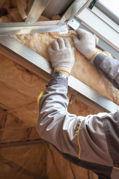 Professional Insulation Contractor in Roland, OK